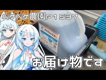 2025年11月7日　農作業日誌P1537　急遽里芋の配達業務？しつつふらふらっとな