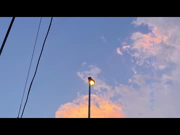 間違いだらけのきみを見せて / koyori/電ポルP - 歌ってみた【真澄】