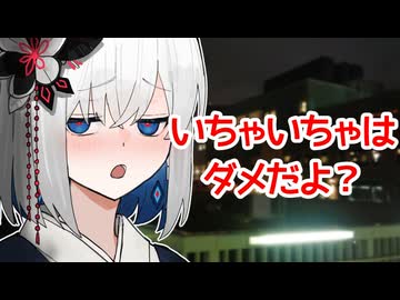 いちゃいちゃはダメだよ？【裏命との会話記録#02】