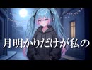 月明かりだけが私の