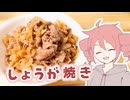 しょうが焼き【テトさんのテキトーひとりメシ】