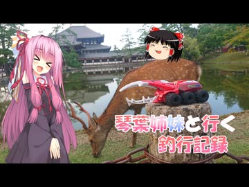 琴葉姉妹と行く釣行記録（車載編part36 62）