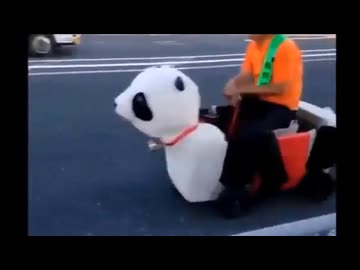 お嬢様と見る日本の交通事故集11