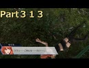 【ファイアーエムブレム無双】【リョナ】【セリカ】 ３０秒リョナPart３１３