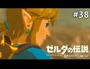 頼りになる背中【ゼルダの伝説 ブレス オブ ザ ワイルドのんびり実況】#38