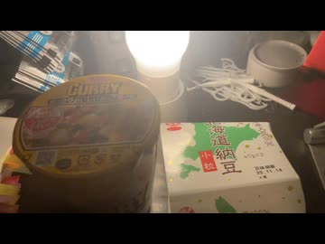何故2008年時代と同じスタイルのビデオブログを始めたか+カップ麺食うVlog 20251109深夜、生存確認動画