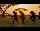 起源はアフリカ？ホモ・エレクトス8秒解説