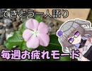 てきとう一人語り　＃４４１