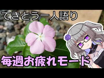 てきとう一人語り　＃４４１