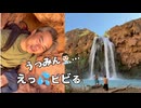 うつみん□□‍⚕️長老ツアー、終盤
