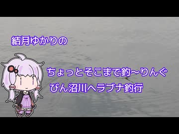 ちょっとそこまで釣～りんぐ びん沼川ヘラブナ釣行【結月ゆかり】