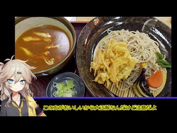 【茨城動画祭】つむぎちゃんの茨城グルメ「大栄の『七福カレー汁そば』」【春日部つむぎ誕生祭】【VOICEVOXグルメ】