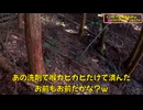 (まもなく狩猟解禁だな？）変態忍者の、有害鳥獣駆除従事活動記・その３５１