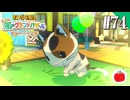 【実況】牧場物語 Let's！風のグランドバザールを初見で遊ぶいも【#74】
