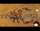 【ゆっくり朗読】ゆっくりさんと絶滅した生物　その55