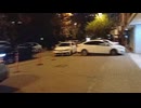 Terazi Akıntısında Kemiksi Yapı Sevgisi
