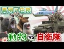 戦闘機も出撃！国を動かした動物たち【ゆっくり解説】