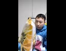 カルビーCalbeeポテトチップス濃厚キング・チーズ＆バジル味・ザクッとやみつき