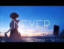【歌ってみた】never(cover.lit)