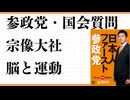 参政党　国会　代表質問　外国人問題アンケート　福岡マラソン　宗像大社　出光佐三　脳と運動　健康を保つ秘訣　食洗機と時間