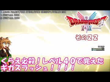 【ドラゴンクエストI＆II】継がれゆく、ロトの不幸I。　その２２