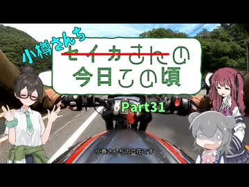 【小樽組車載】セイカさんの今日この頃 Part31（スマホ買い替え-arrows Apha-）