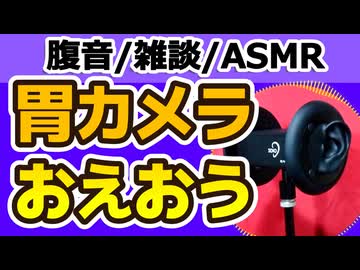 【雑談】胃の内視鏡検査の話【お腹の音・ASMR・雑談】