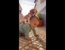 Baby and Dog ! #shorts #youtubeshorts #baby #dog #babyanddog #dogandbaby #smile