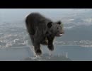 全国であいつぐクマ被害　九州で出没する可能性は？　クマは海峡を越えることが出来る？　専門家の意見は