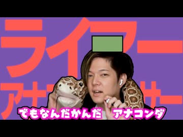 ライアーアナコンダンサー