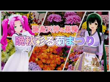 【ソフトウェアトーク旅行】湯島天神＆巣鴨 晩秋彩る菊まつり【カスタムキャスト】