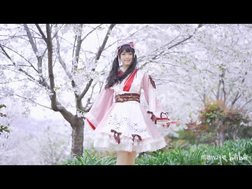 【雨歇】千本桜