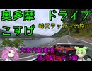 【ASMR】S2000 峠ステッカーの旅① 奥多摩湖とのんびりドライブ（大麦代～道の駅こすげ編）【ずんだもん車載】