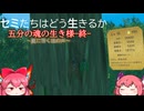 【セミたちはどう生きるか】五分の魂の生き様～夏に響く魂の声～(終【ゆっくり実況】