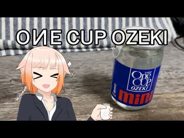 ONE NIGHT FEVER [One CUP OZEKI]