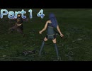 【ファイアーエムブレム無双】【リョナ】【ルキナ】攻撃を食らう直前に最初からやり直そうとするも・・・ Part１４