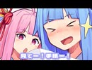 わー！伝書バトだー！
