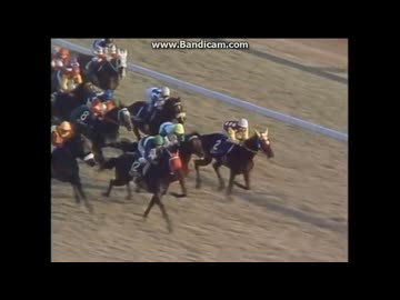 希少　ヴィンテージJapan cup ジャパンカップ　88年　競馬　JRA 1988 ジャパンカップ (GⅠ) ペイザバトラー JAPAN CUP G1 Pay the