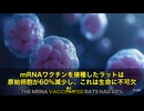 あのファイザー元CEO、アルバート・ブーラ氏に関する衝撃的な指摘です。 彼はかつて“動物の不妊化”をテーマに博士論文を書いた経歴を持つ人物、mRNAワクチンとの間に、ある“共通点”が見えてきている‼️