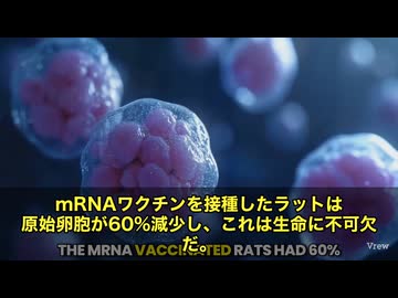 あのファイザー元CEO、アルバート・ブーラ氏に関する衝撃的な指摘です。 彼はかつて“動物の不妊化”をテーマに博士論文を書いた経歴を持つ人物、mRNAワクチンとの間に、ある“共通点”が見えてきている‼️