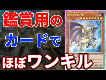 観賞用カード「誇りと魂の龍」を活かした驚愕コンボを受けた決闘