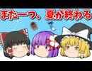 【ゆっくり茶番】夏の終わりのこと・・・