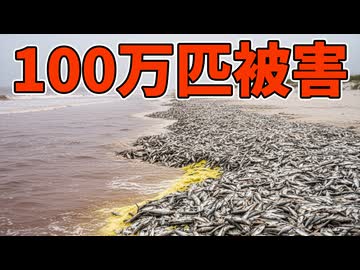 100万匹を殺した有毒藻類が世界を脅かしている！！【生物解説】