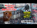 【上野 アメ横】上野のアメヤ横丁で魚介類を買ってはいけない理由 #猫マニ #猫ミーム