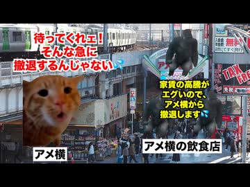 【上野 アメ横】上野のアメヤ横丁で魚介類を買ってはいけない理由 #猫マニ #猫ミーム