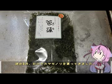 珍食材が食べたい！#226 カヤモノリ