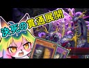 【メルフィー】4ターンの激闘【初めての巳剣戦】