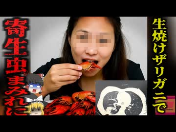 『ザリガニで肺が穴だらけに』大量のザリガニを食べた女性　発熱や吐血、呼吸困難などを発症し検査を受けると…『長沙市肺吸虫感染』【ゆっくり解説】