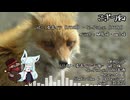こぎつね feat.イフとコトエ