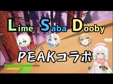 LSD登山コラボ抜粋.mp4